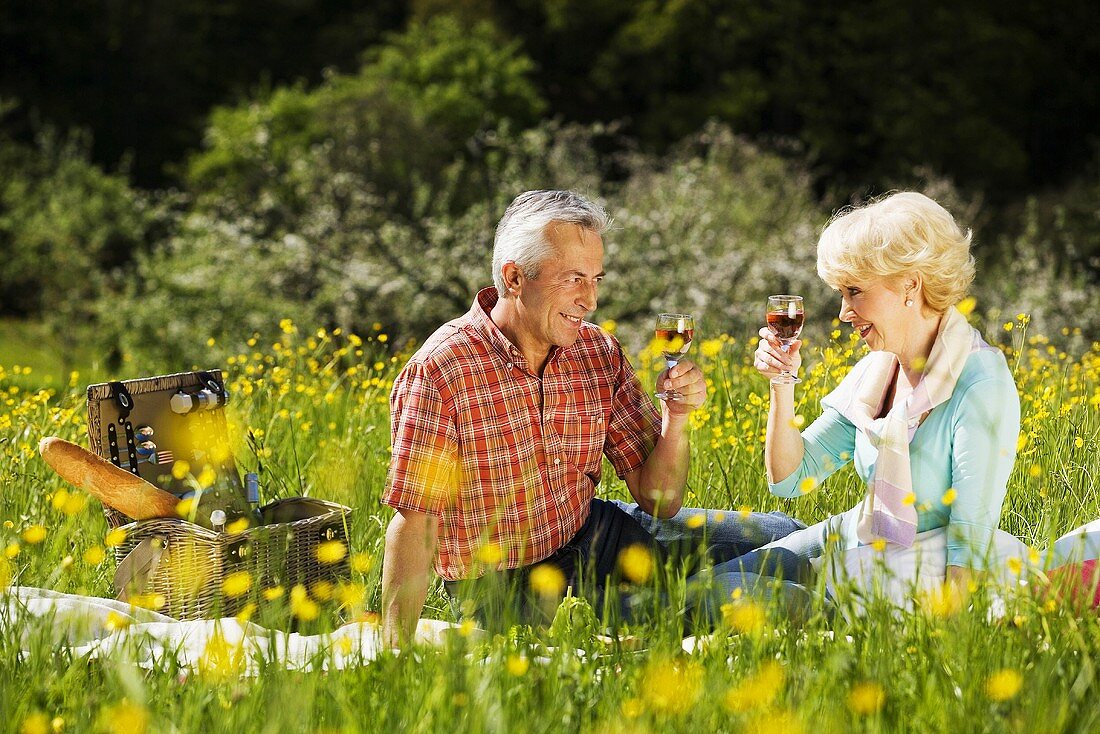 Älteres Ehepaar mit Wein beim Picknick