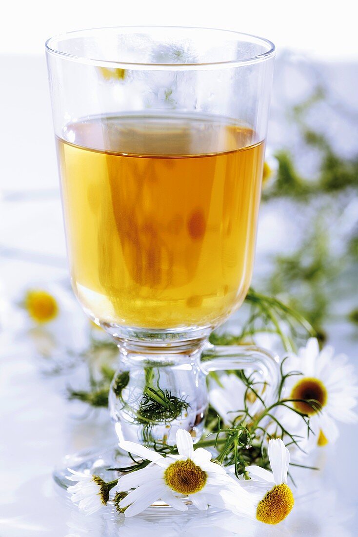 Camomile tea and flowers
