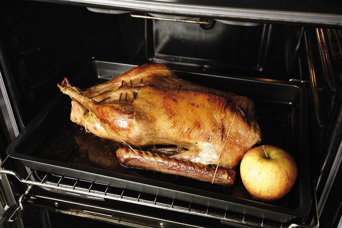 Roasted goose on baking tray, elevated view