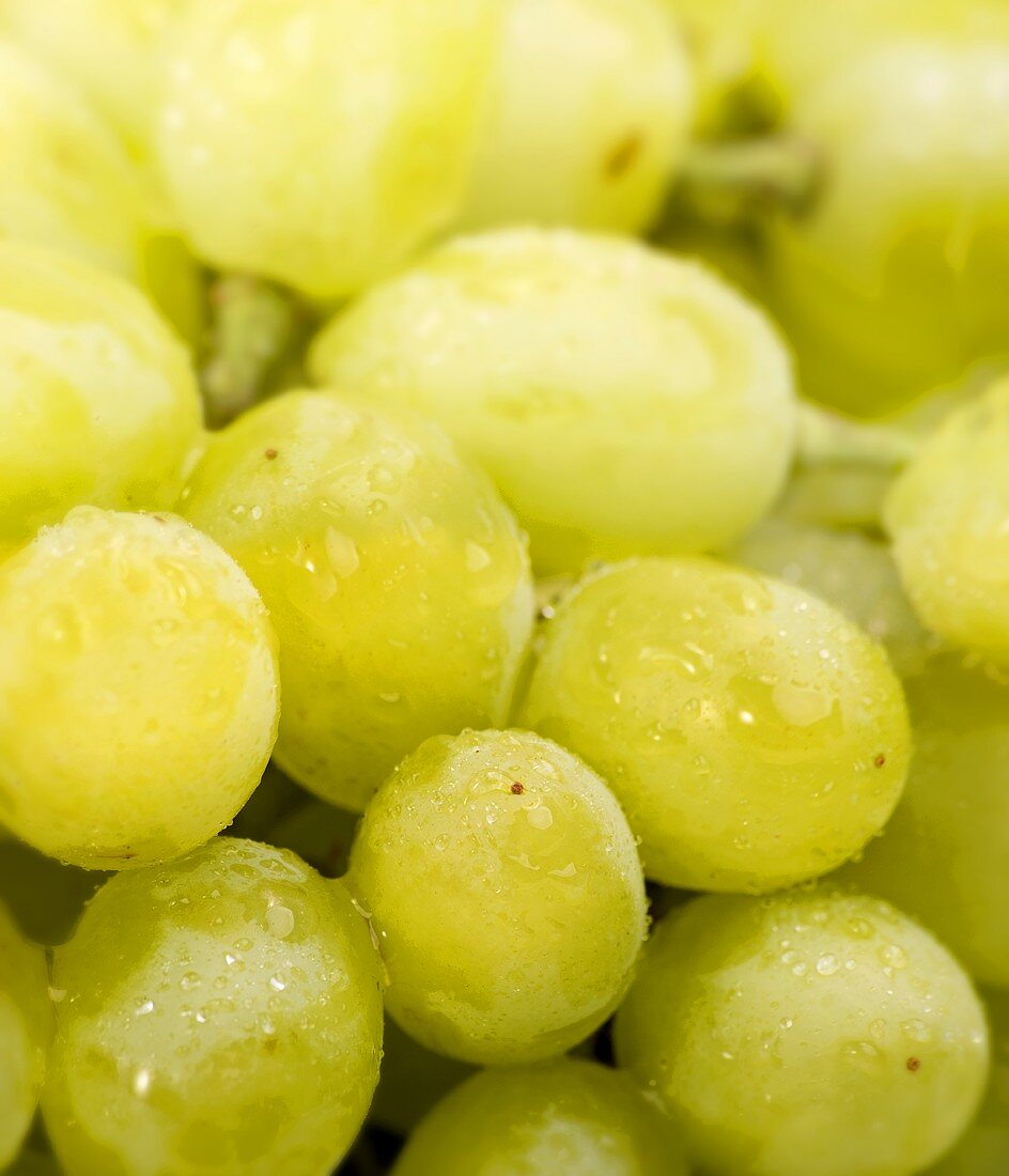 Gewaschene Weintrauben