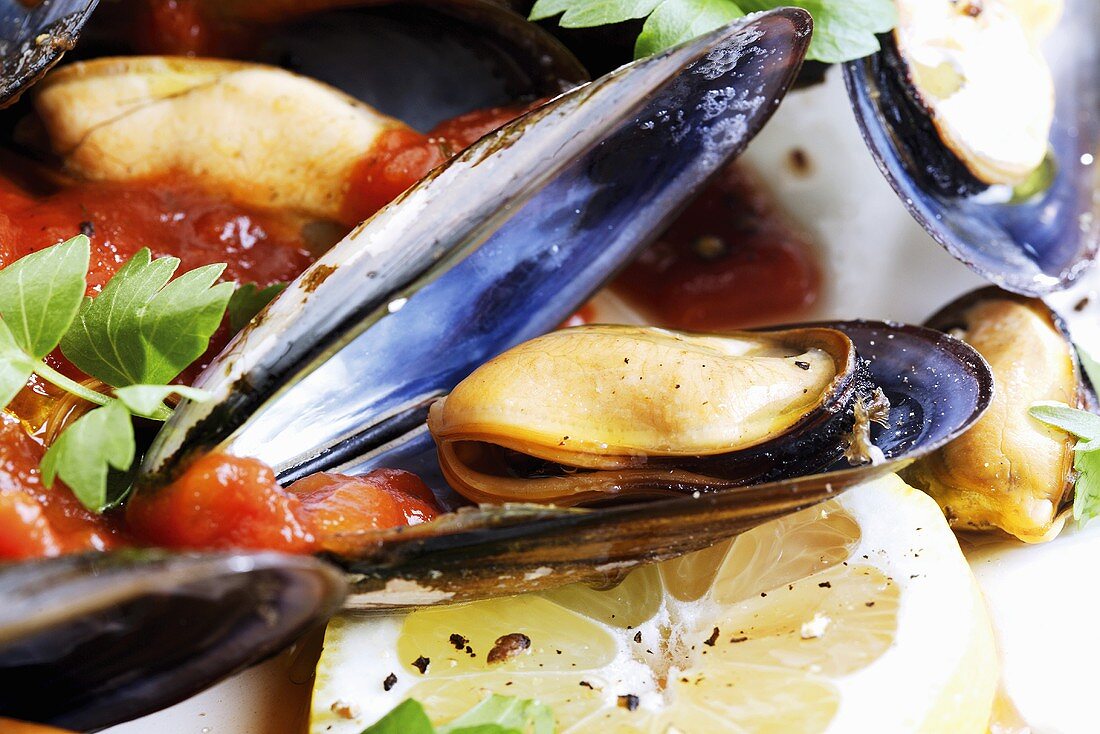 Freshly prepared mussels, close-up