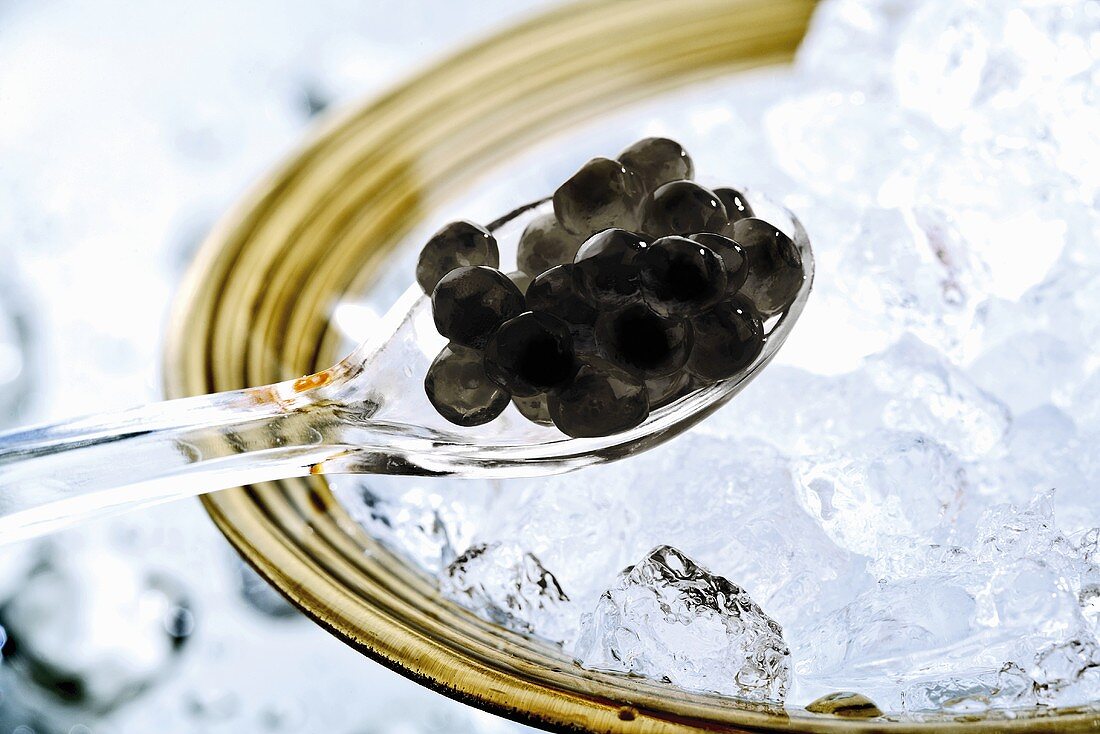 Schwarzer Kaviar auf Löffel über Crushed Ice (Close Up)