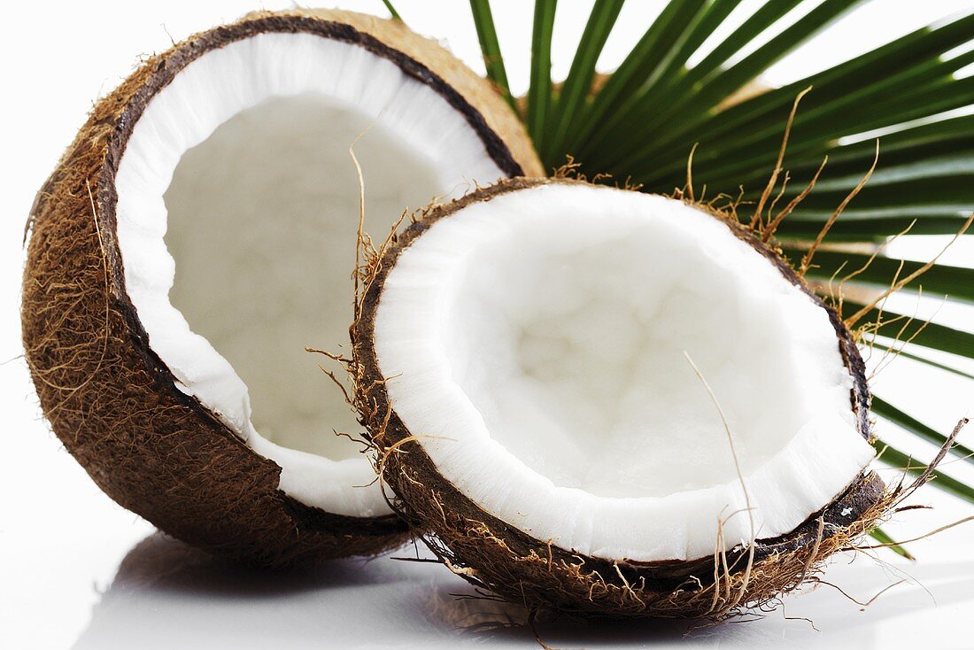 Split coconuts, close-up