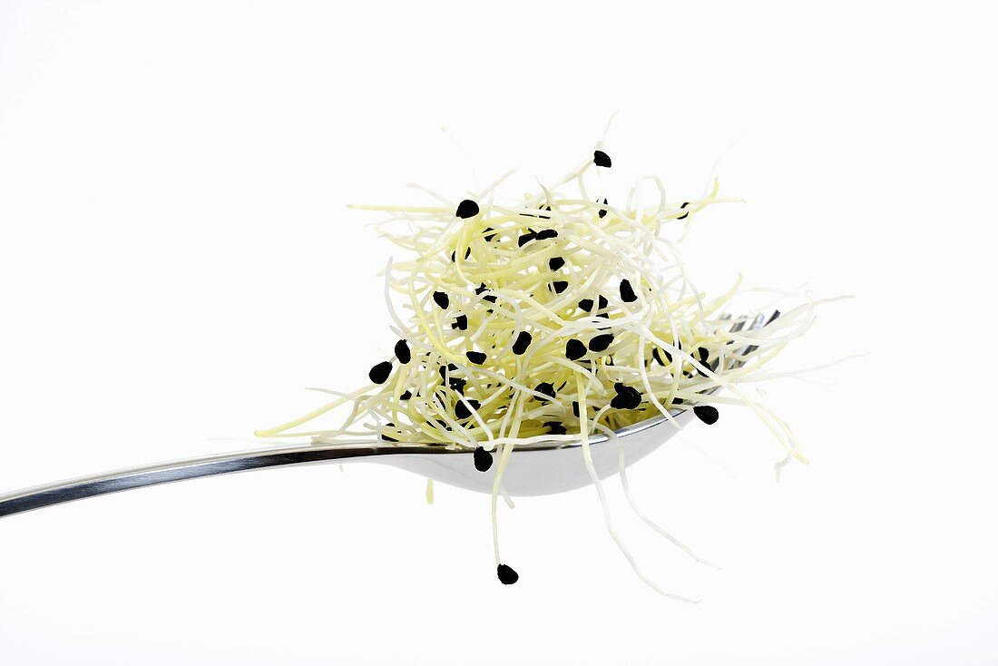Garlic sprouts on fork