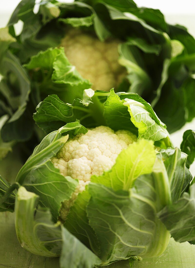 Two cauliflowers