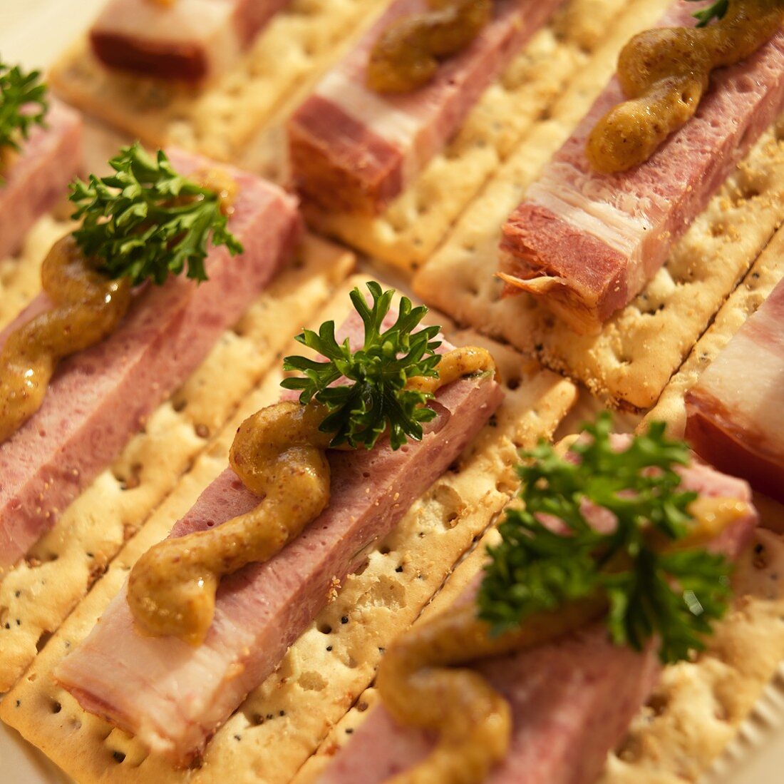 Schweinebauch (Cured Pork Belly) on Crackers with Brown Mustard