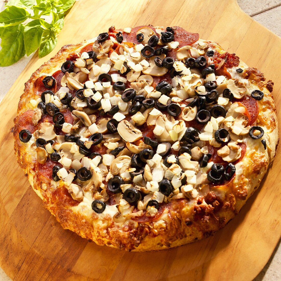 Pizza with Onions, Mushrooms, Olives and Pepperoni 