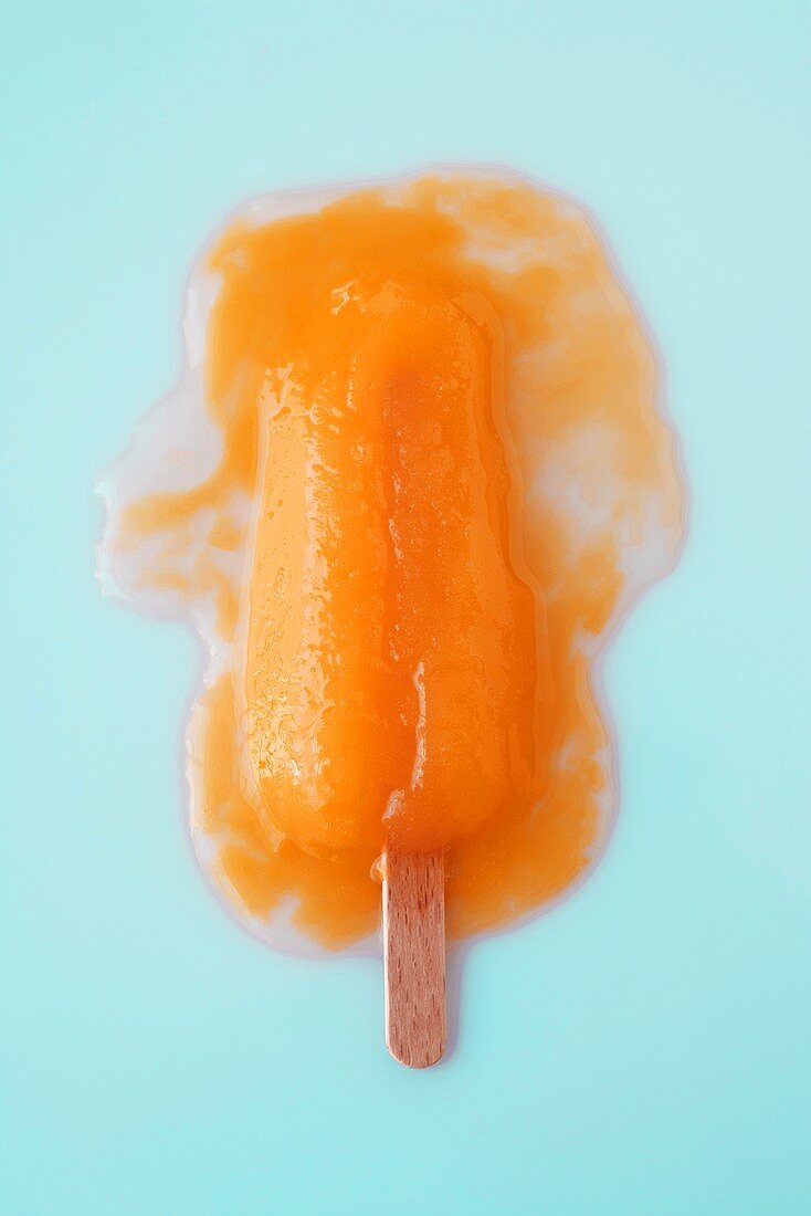 Melted ice lolly stick, overhead view