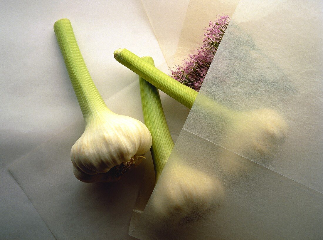 Three Fresh Garlic Bulbs