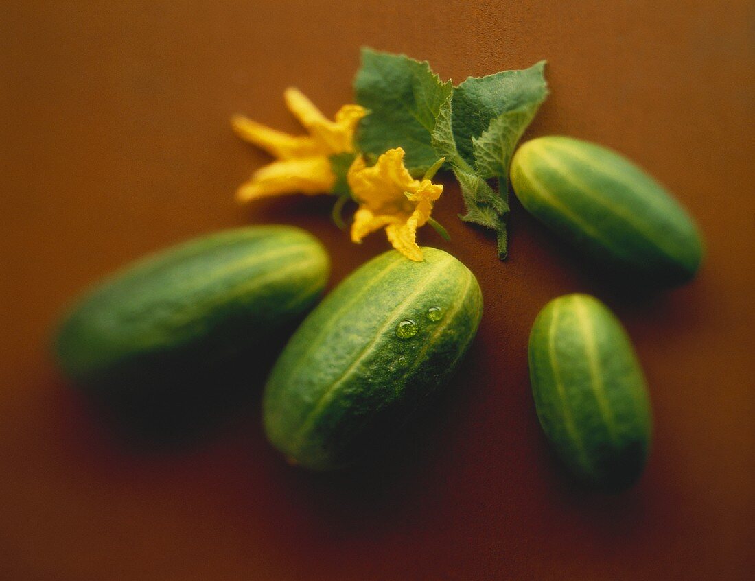 Several Cucumbers with Blossom & Drop