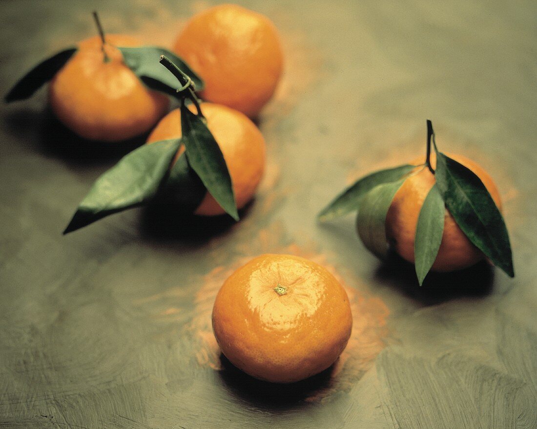 Fresh Tangerines with Leaves