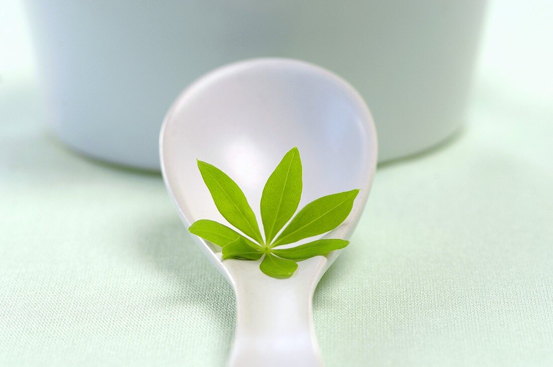 Woodruff leaf on a spoon