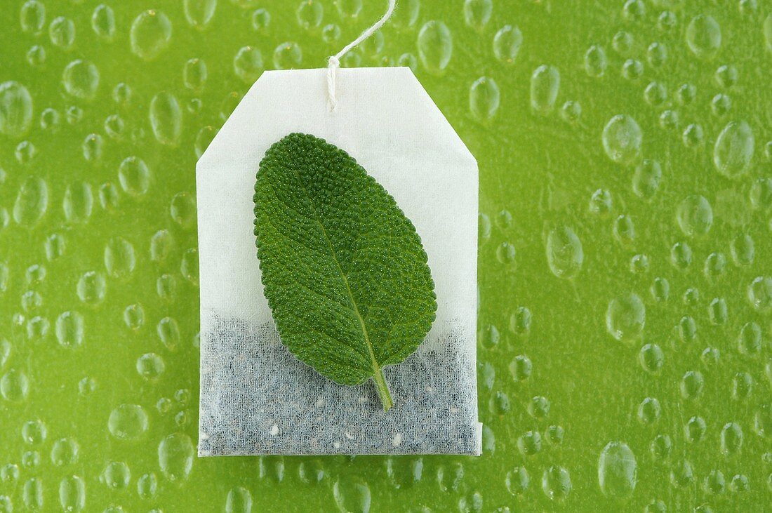 Tea bag and sage leaf, close-up