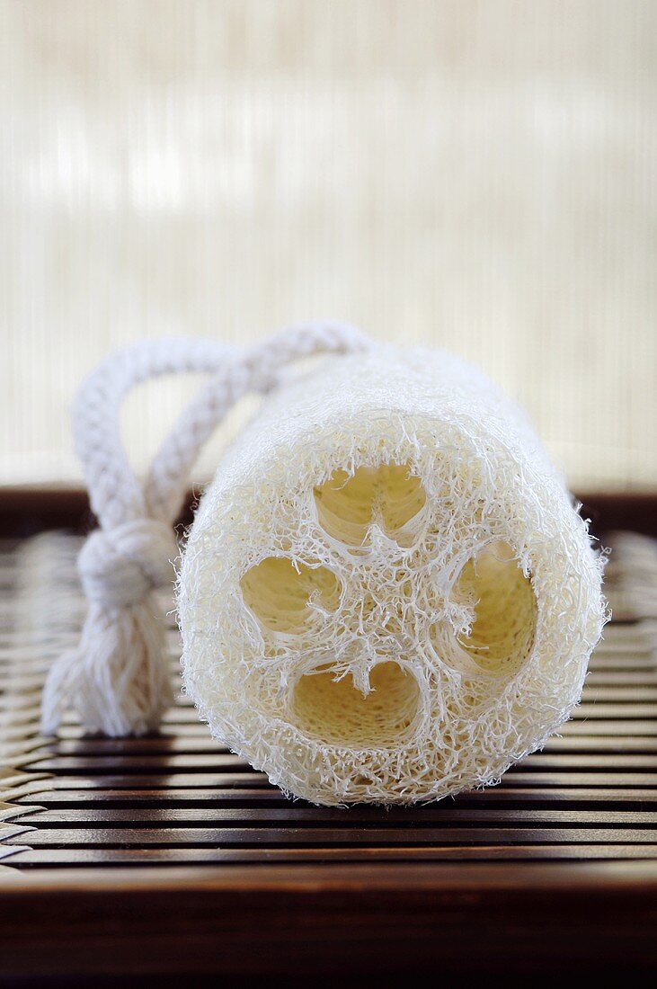 ^Loofah sponge, close-up