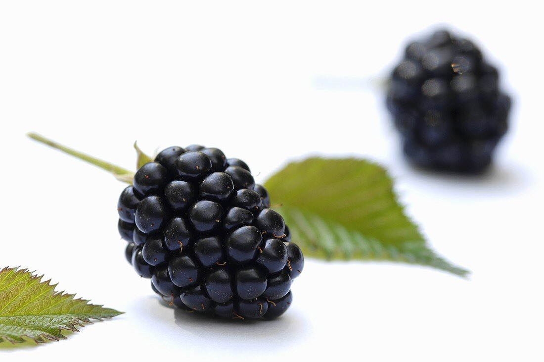 Brombeeren mit Blättern