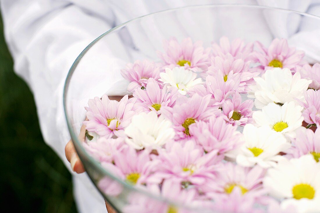 Woman holding bowl of petals in water, close-up, mid section