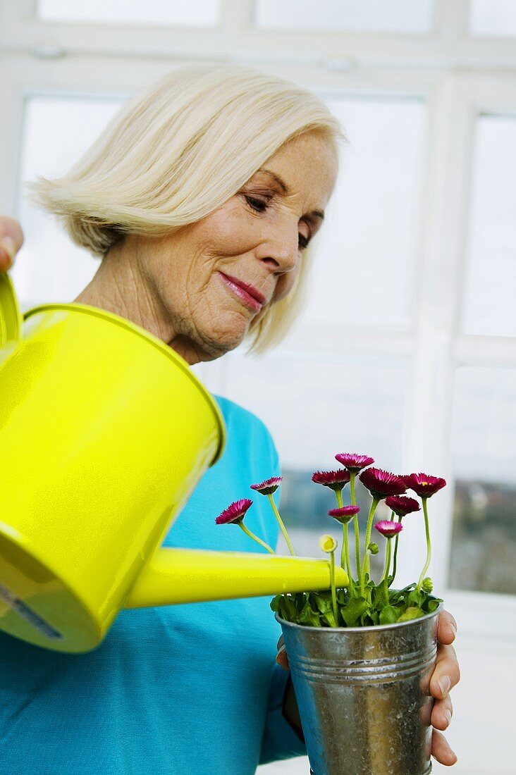 Senior woman watering houseplant, close-up