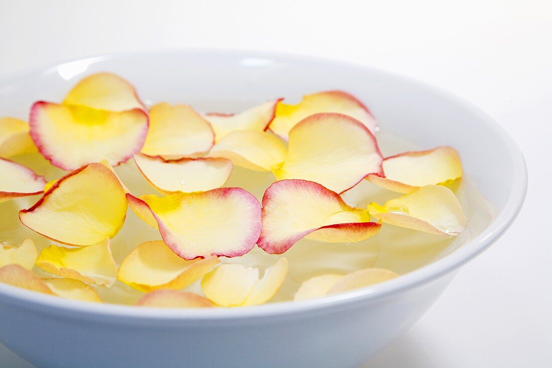 Rose petals in bowl of water