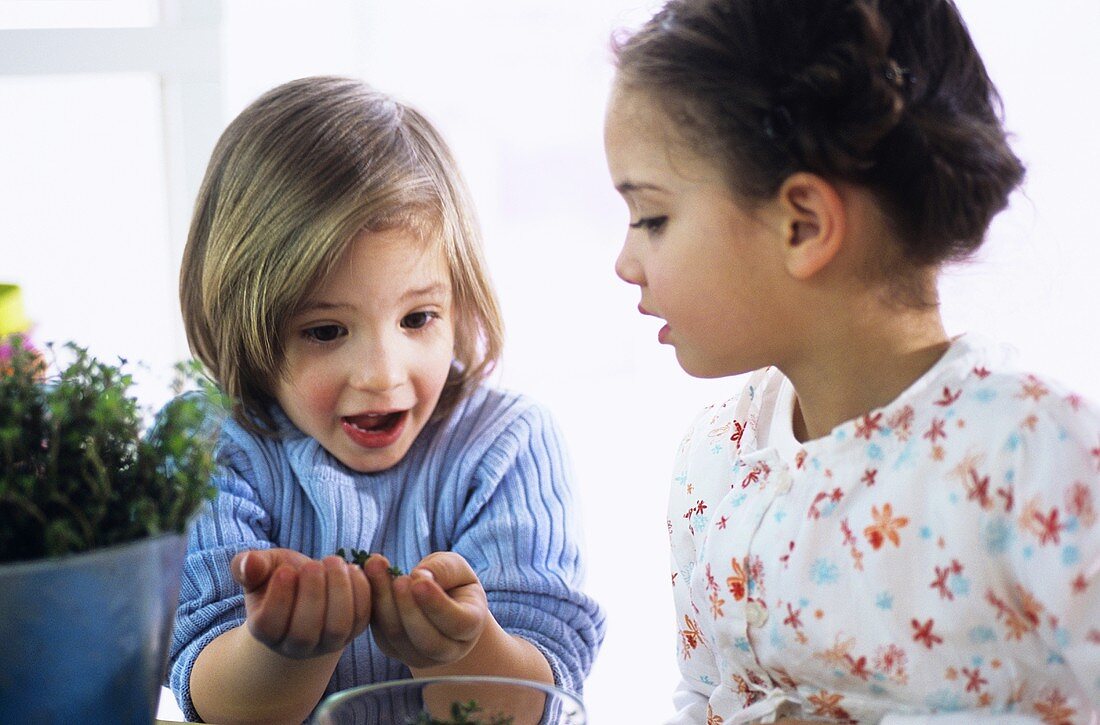 Zwei Kinder mit Kräutern in der Küche