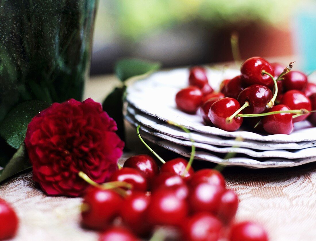 Cherries, peony and plates on table, close-up