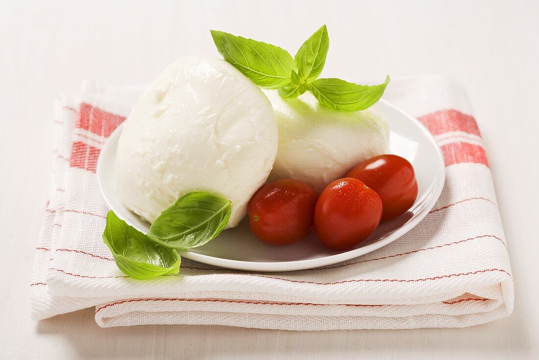 Mozzarella with basil leaves and tomatoes