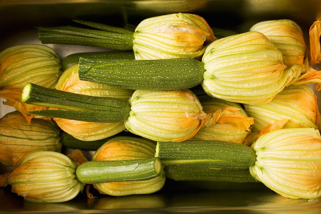 Zucchini mit Zucchiniblüten