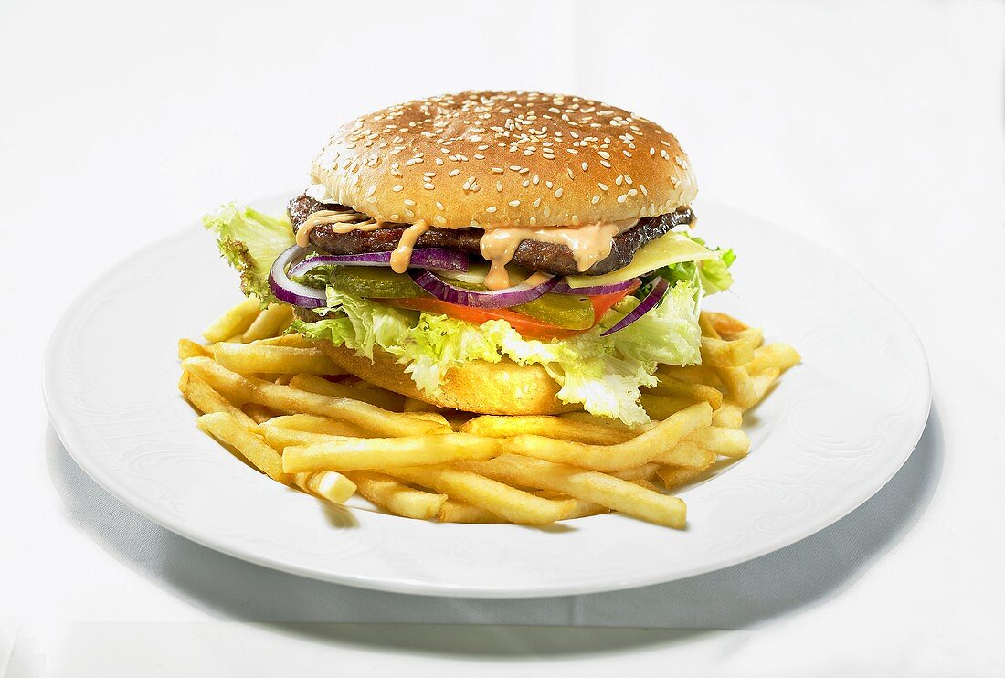 Hamburger mit Pommes frites