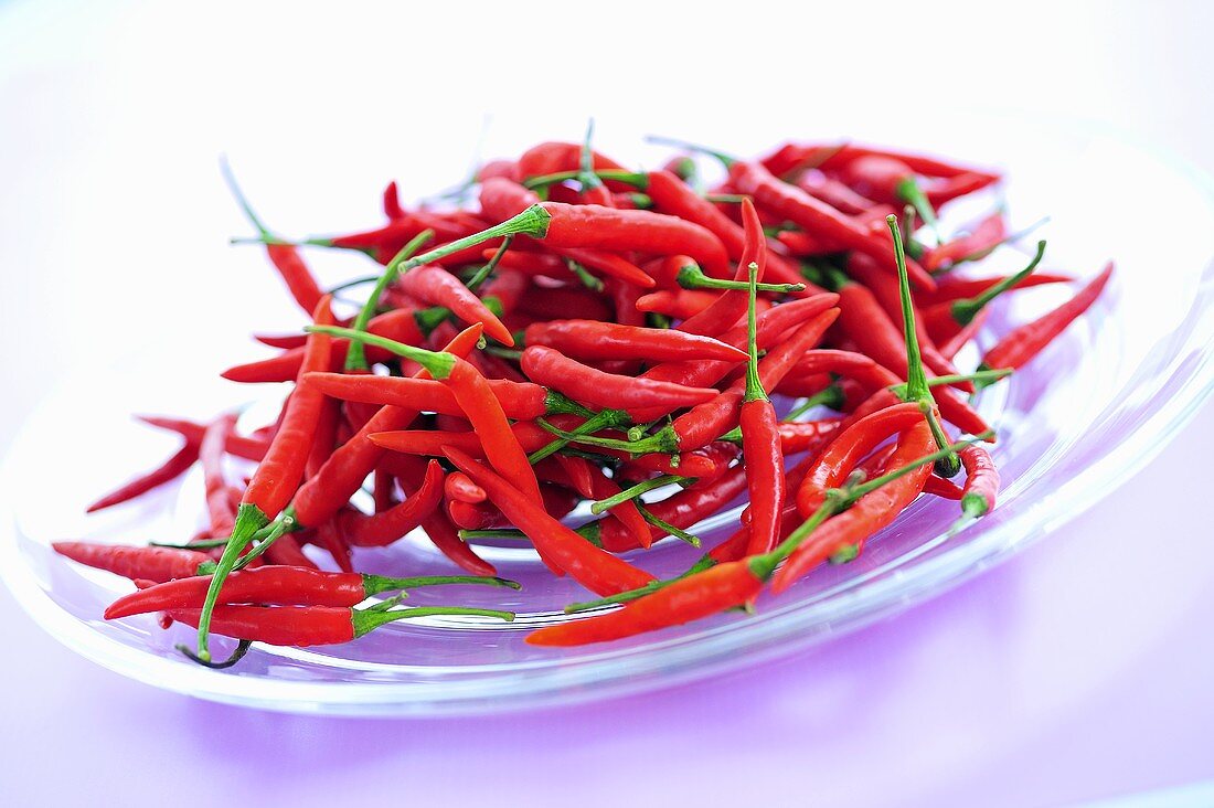 Red chillies on plate