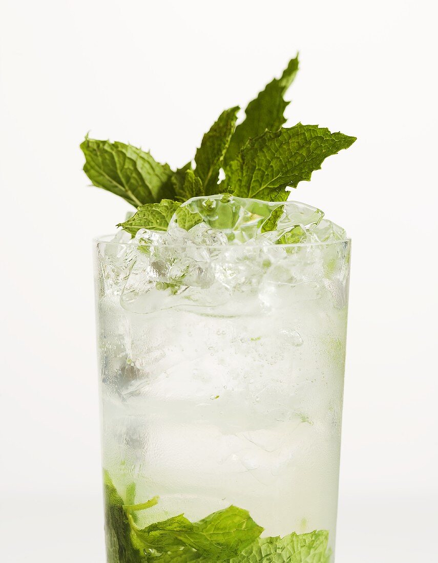 Mojito on the Rocks with Mint 