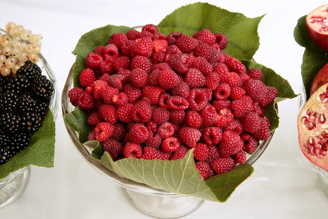Fresh raspberries on leaves in glass bowl