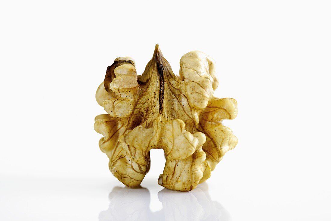 A shelled walnut