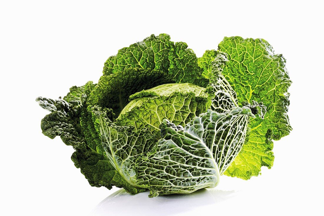 A savoy cabbage