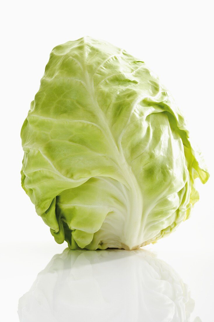 A pointed cabbage