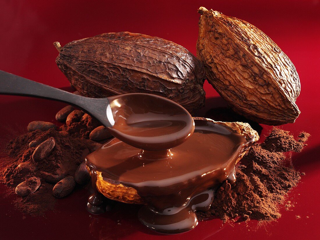 Schokoladensauce, Kakaopulver, Kakaobohnen und Kakaofrüchte