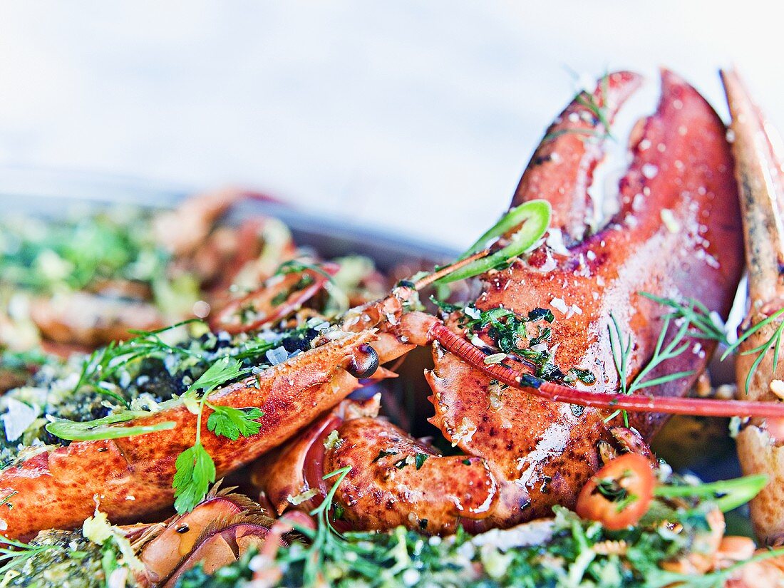 Cooked lobster with herbs