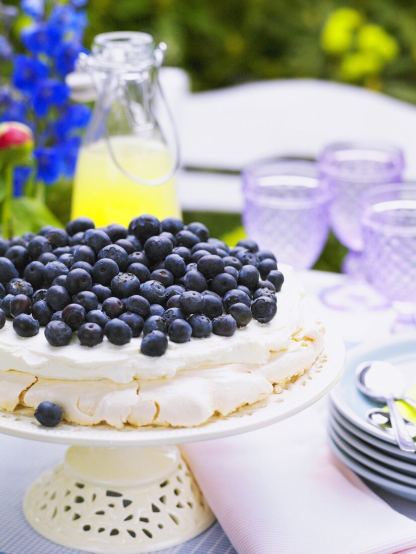 Blueberry meringue cake on garden table