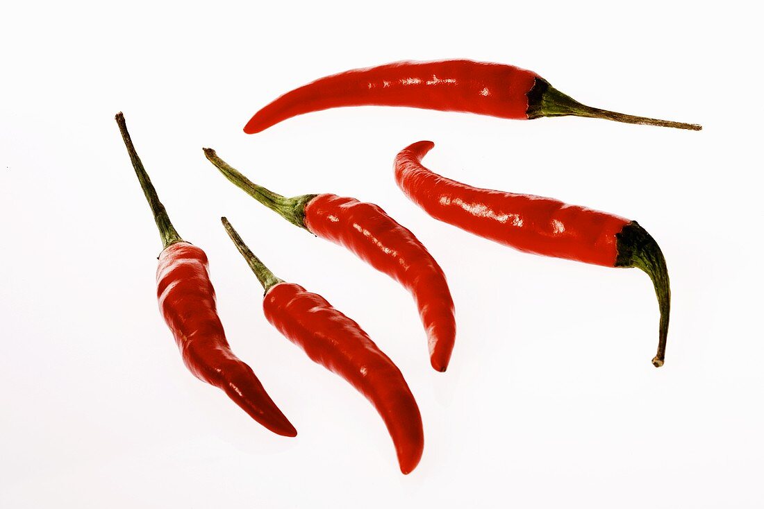 Several fresh red chillies