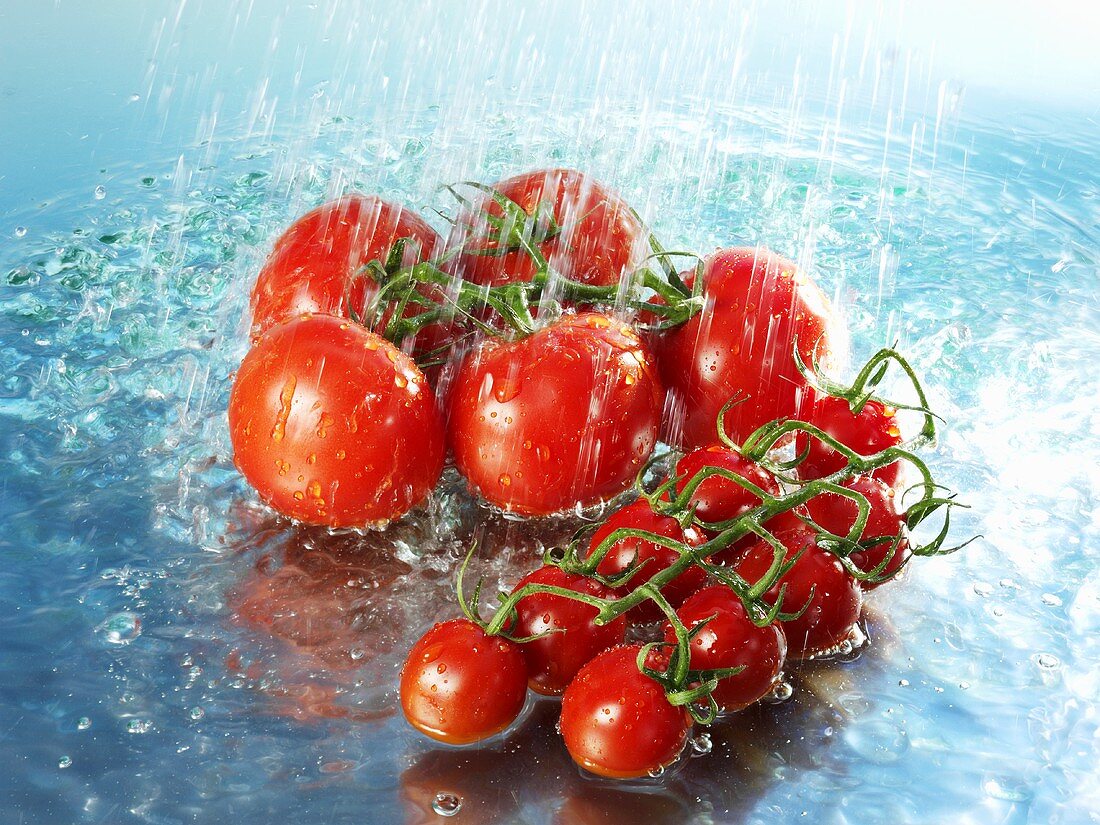 Tomaten mit Wasser