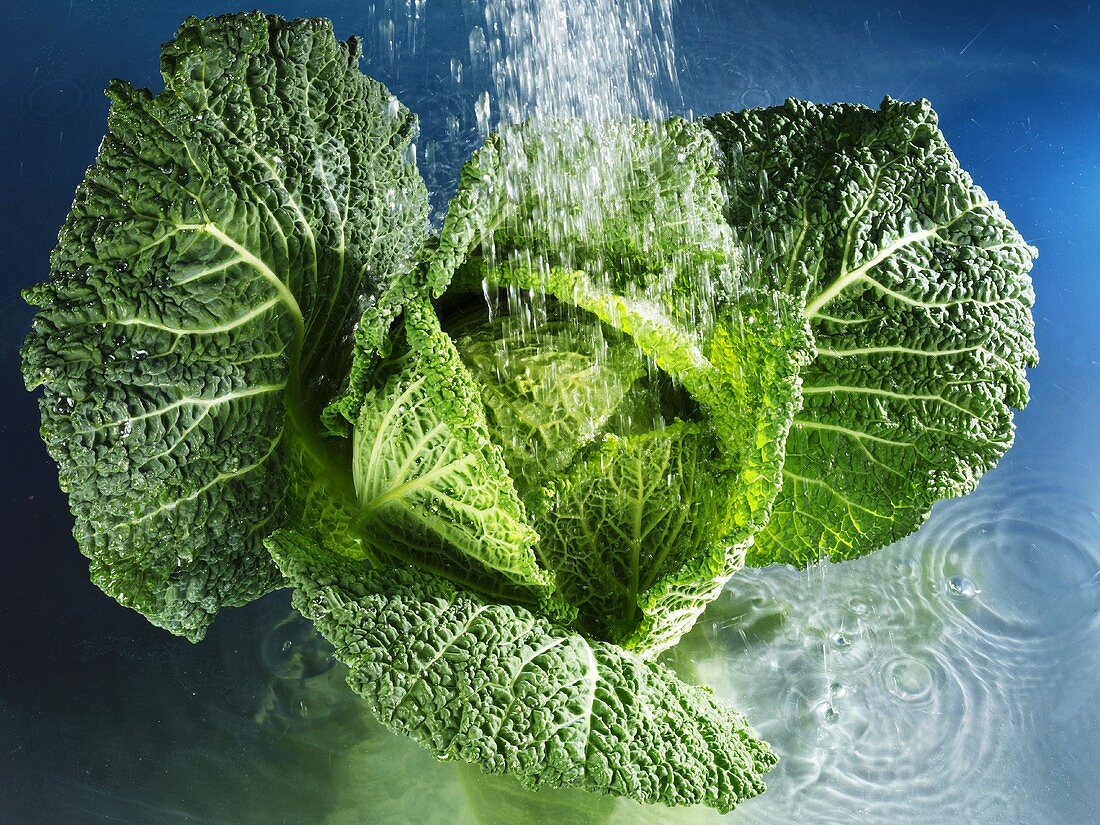 Savoy cabbage with water