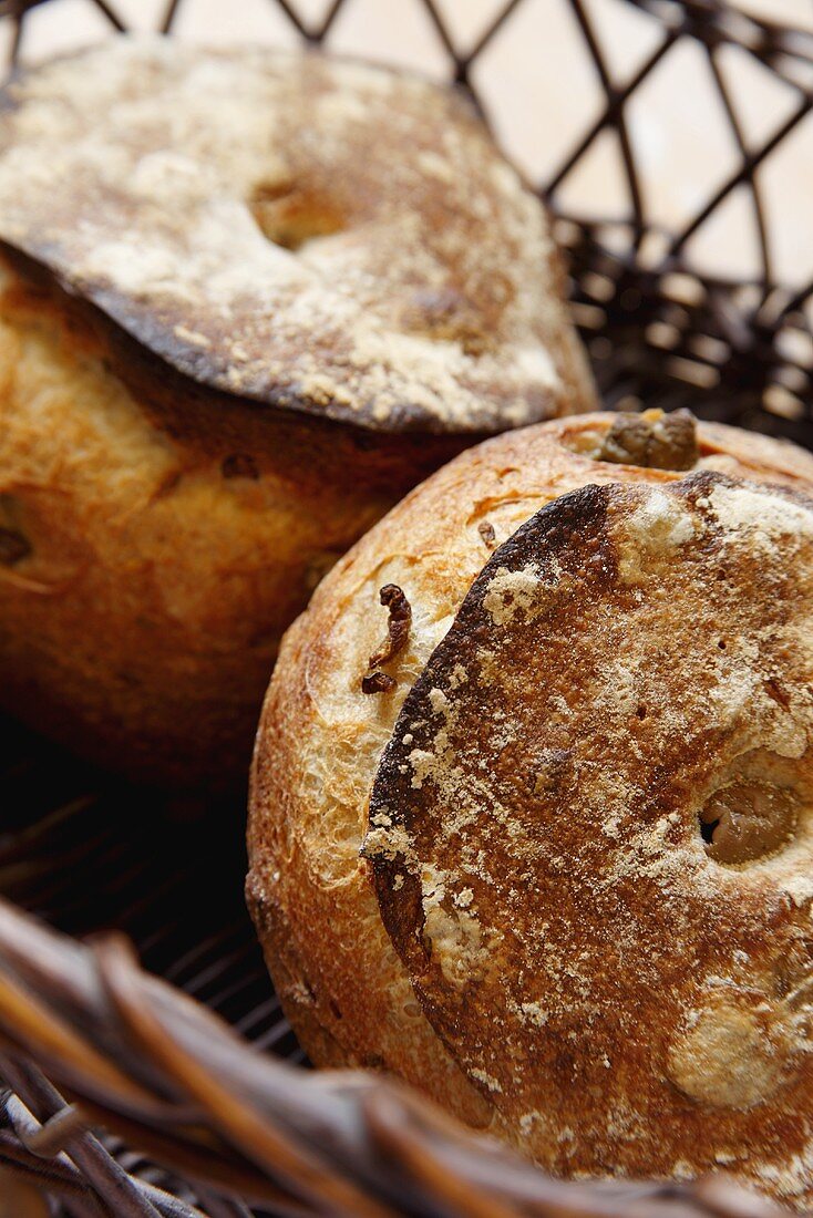 Two Green Olive Levain Loaves in a Basket