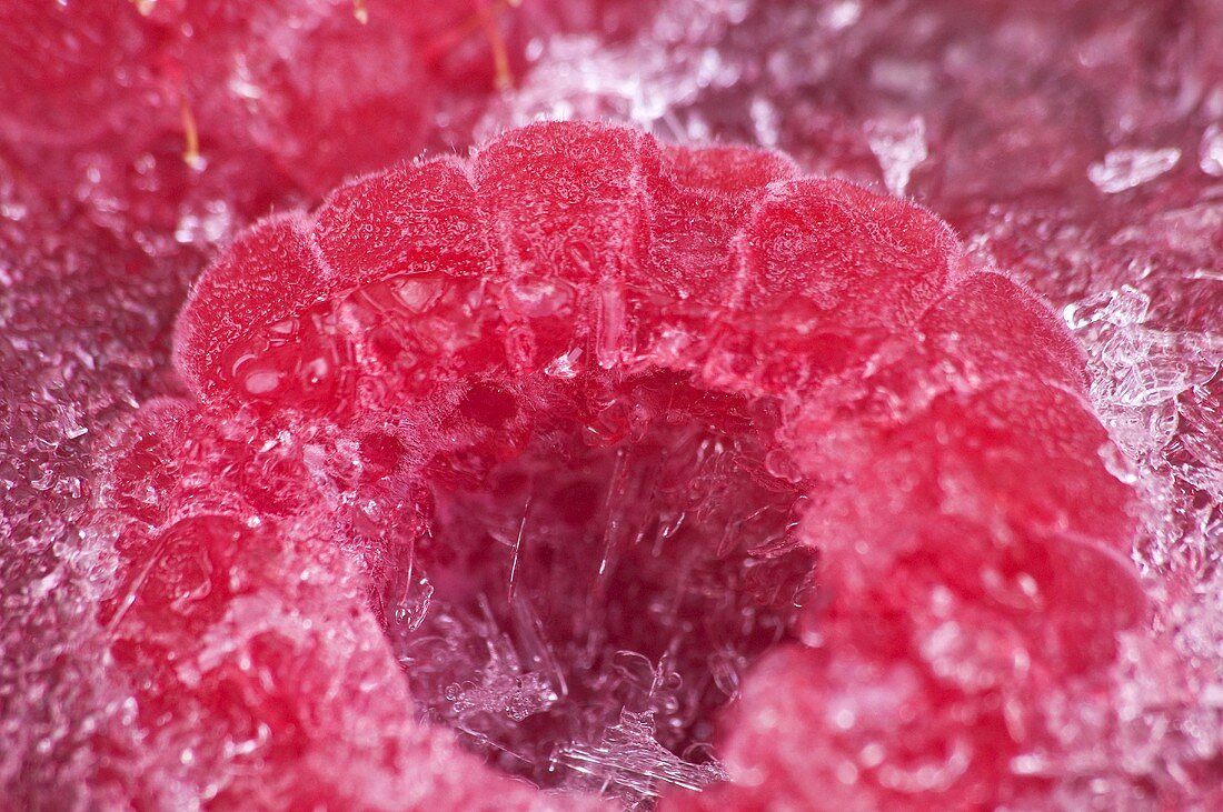 Frozen raspberry (close-up)