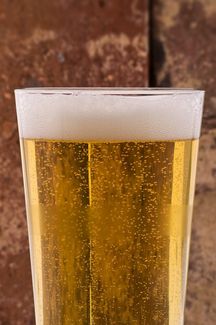 Glass of lager in front of brick wall