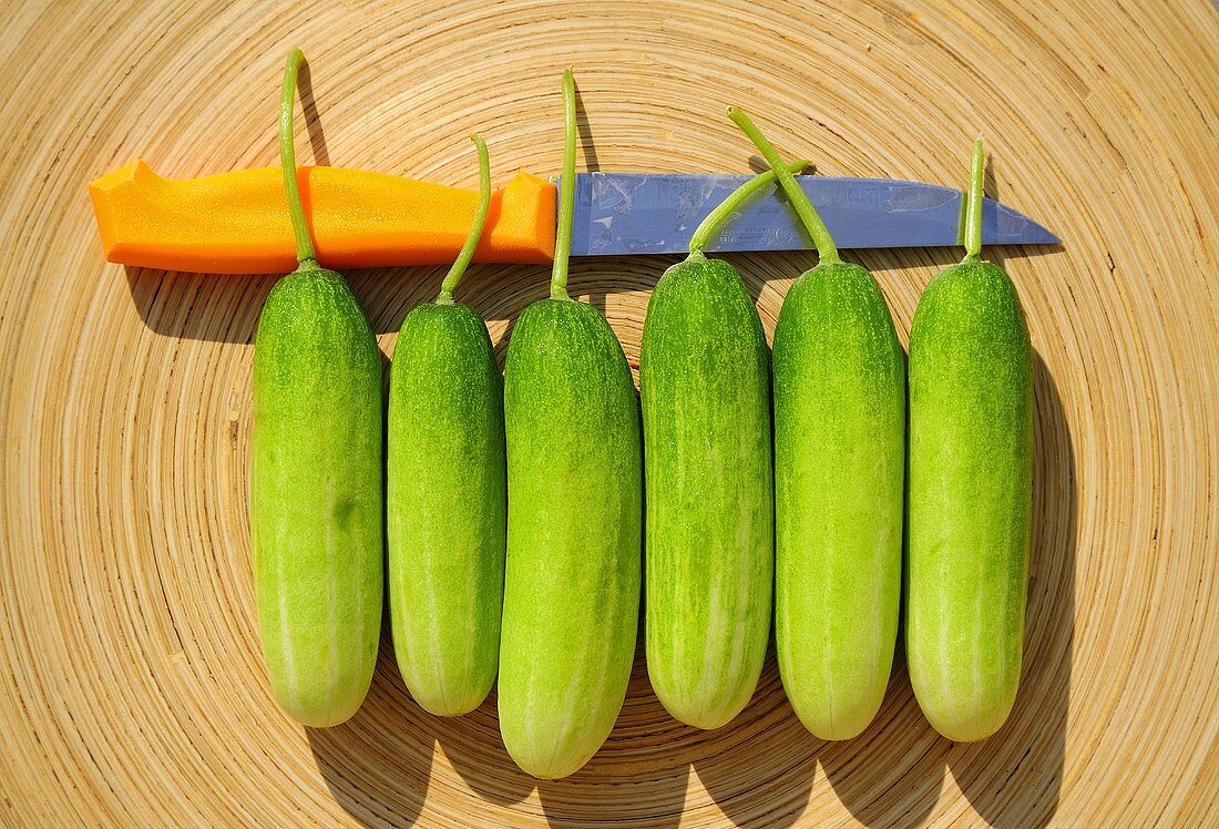 Sechs Gemüsegurken mit Messer