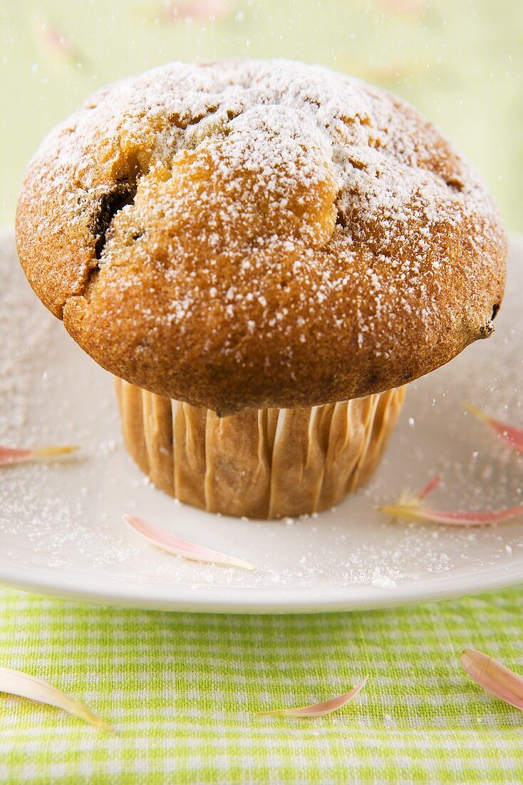 Stracciatella muffin with icing sugar