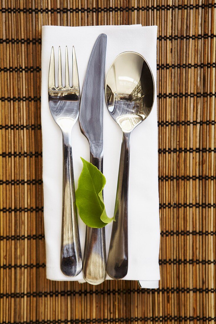 Cutlery with leaf on napkin