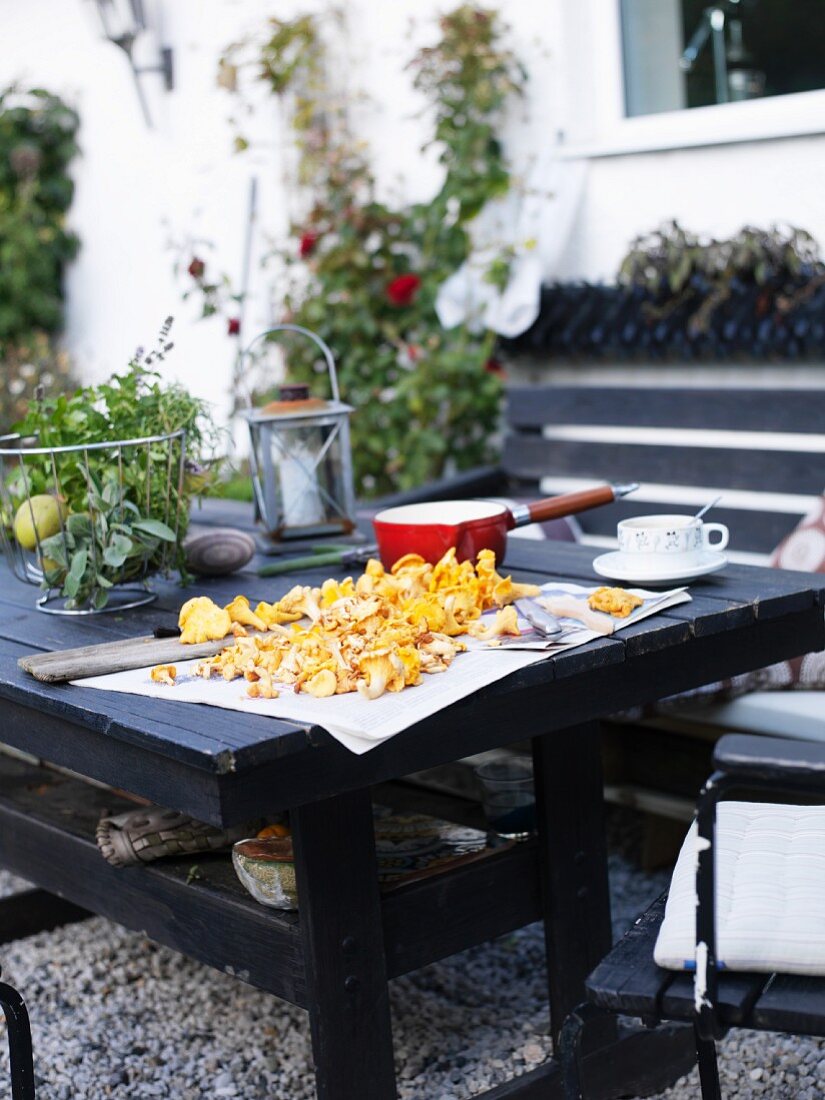 Cleaned chanterelles on table outside house