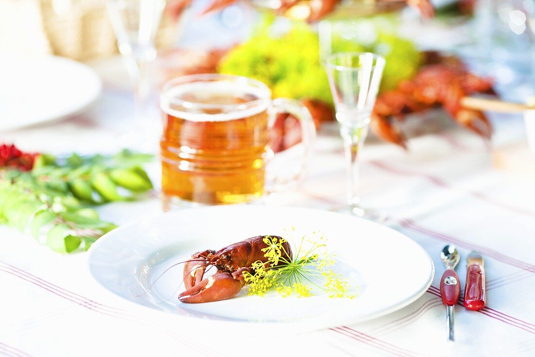 Crayfish with dill flowers on a plate