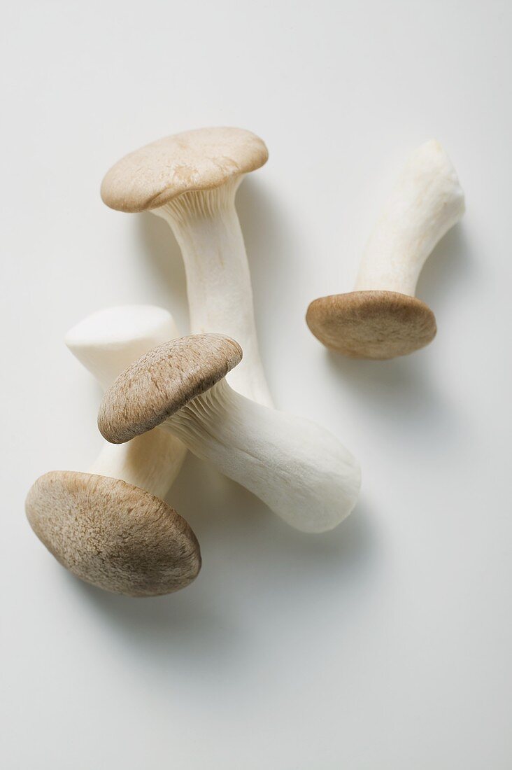 Four king oyster mushrooms