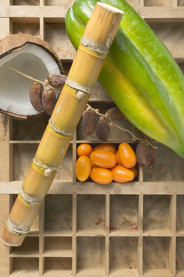 Exotic fruit, coconut and sugar cane in type case