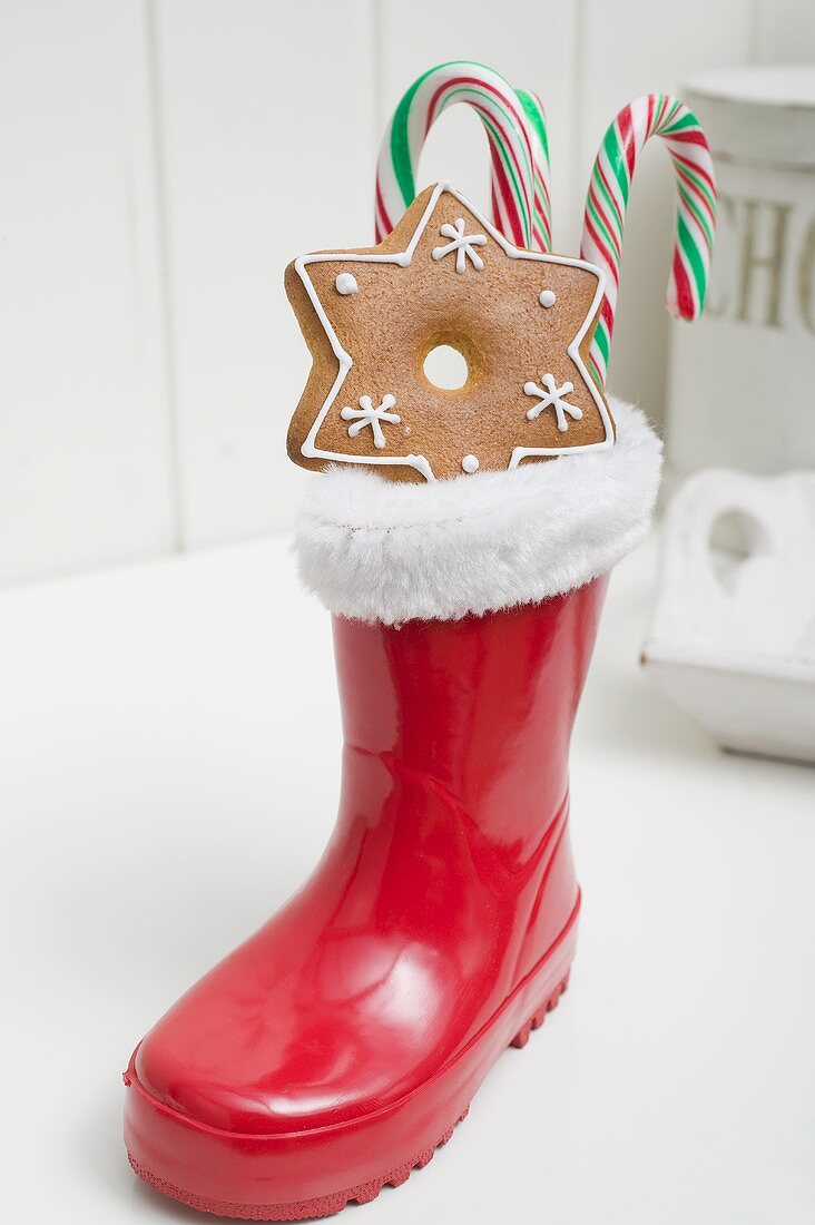 Gingerbread star and candy canes in red rubber boot